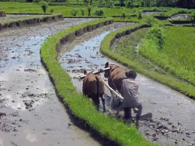 Beast of Burden — Bali, Indonesia