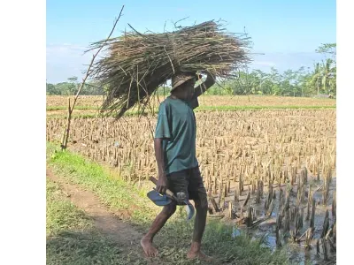 Heading Home — Bali, Indonesia