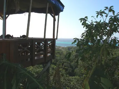 The View.jpg — West End, Roatan, Honduras