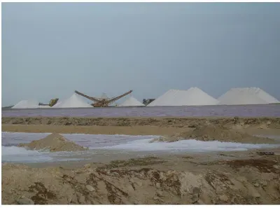 Salt Mining — Bonaire