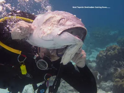 Stay Tun-ad for the Next — Bonaire