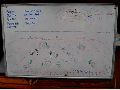 Pre Dive Briefing — Raja Ampat, Indonesia