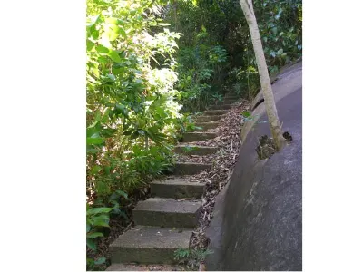 Winding Stairs — Cayos Cochinos, Honduras