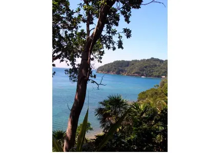 Sunny Skies — Cayos Cochinos, Honduras