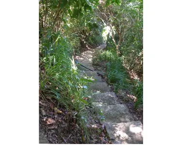 Peaceful Walks — Cayos Cochinos, Honduras