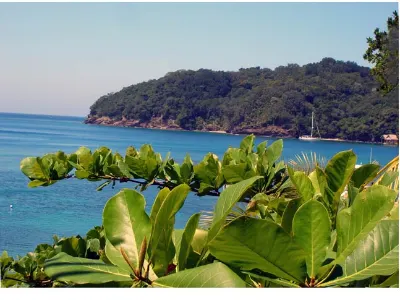 Distant Hills — Cayos Cochinos, Honduras