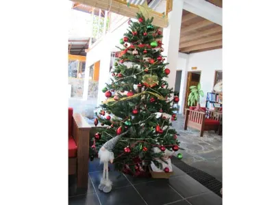 Christmas Departure for Home — Lembeh, Indonesia – NAD Resort
