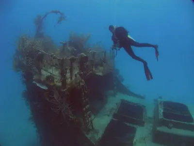 And This is the Front Yard — Roatan Island, Honduras – CoCo View Resort