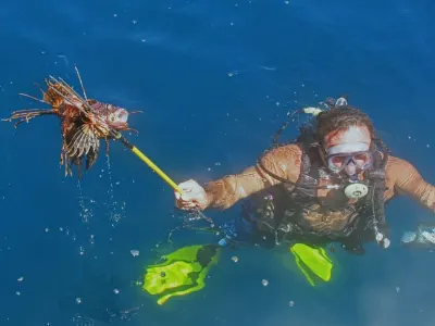 Ocean-Conscious Dive Staff — Roatan Island, Honduras – CoCo View Resort