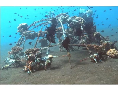 Artificial Reef