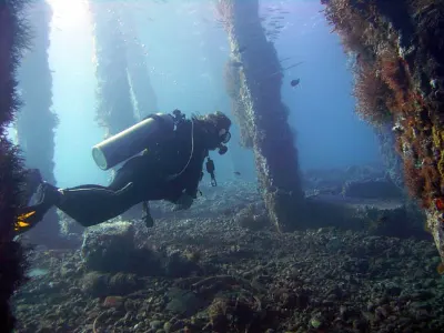 Coral Encrusted Pier