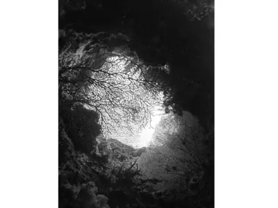 Liberty Wreck Scene