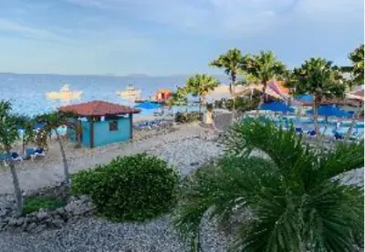 Beach huts and palms