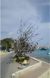 Along the waterfront