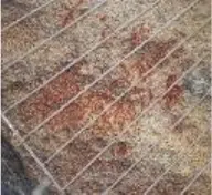 Petroglyphs