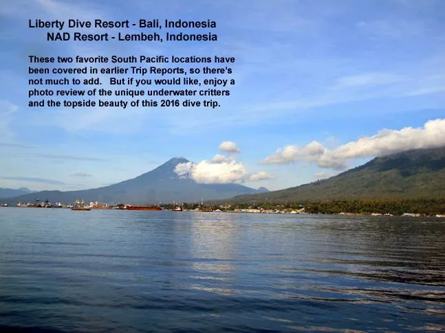 Liberty Dive Resort and NAD Resort — November 2016
