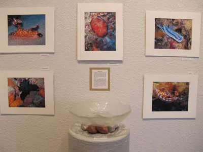 The exhibit at the Riverfront Arts Center